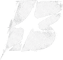 Blanktoverse